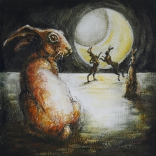 The Odyssey of a Hare I