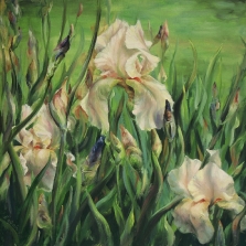 10. Pale Iris