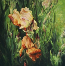 13. Bronze Iris