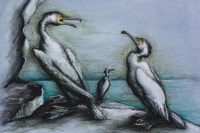 35. Three Cormorants