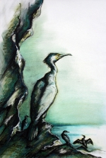 36. Cormorants on the Cliffs