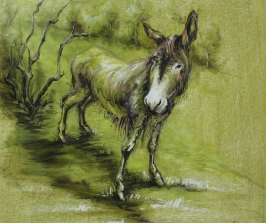 38. The Donkey