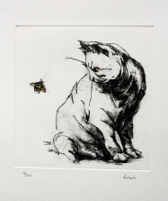 14. Cat and Bee